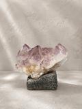 仙人掌紫水晶｜墨西哥｜灰岩｜底域 DIYU｜C02-019