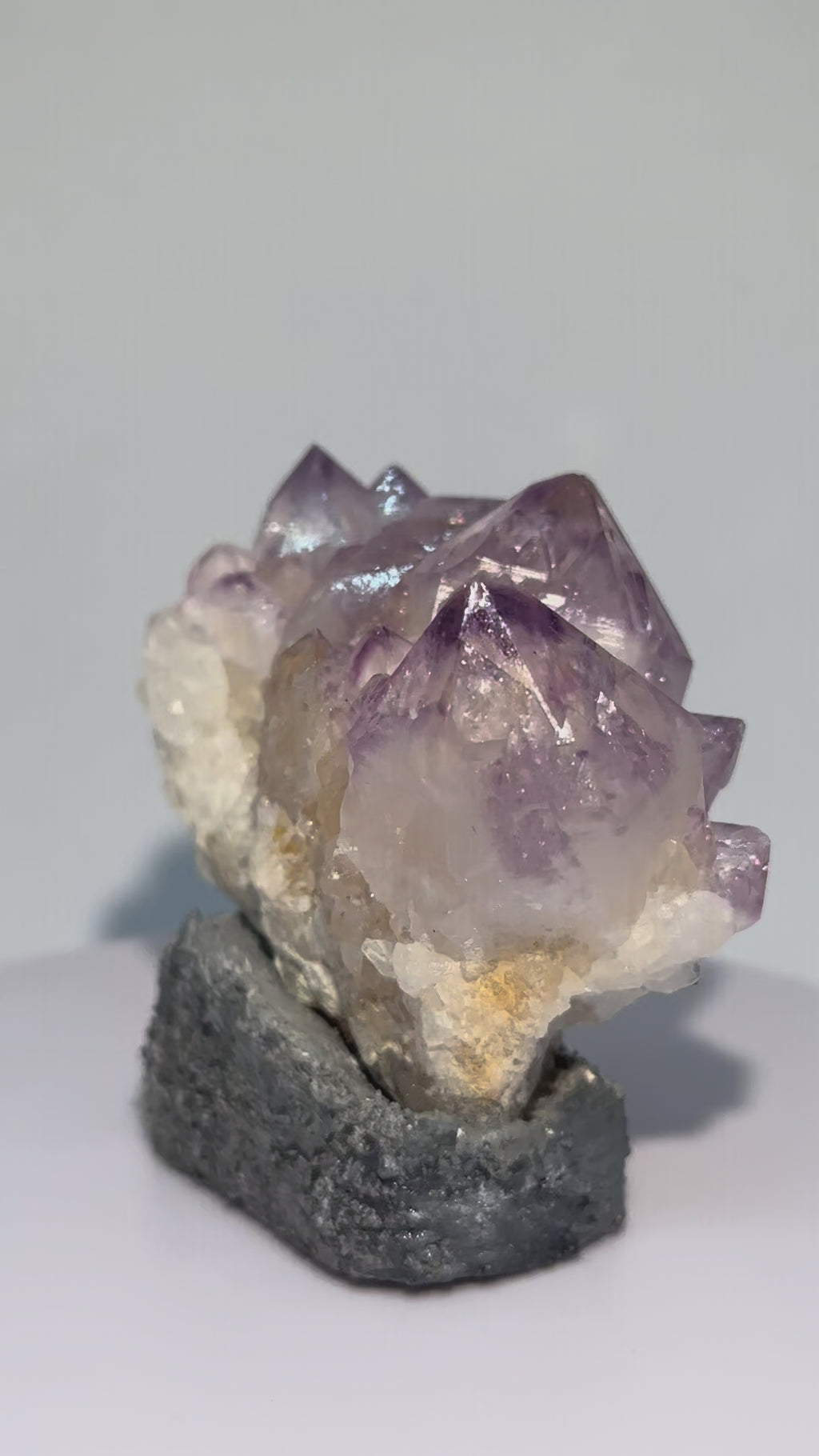 仙人掌紫水晶｜墨西哥｜灰岩｜底域 DIYU｜C02-019