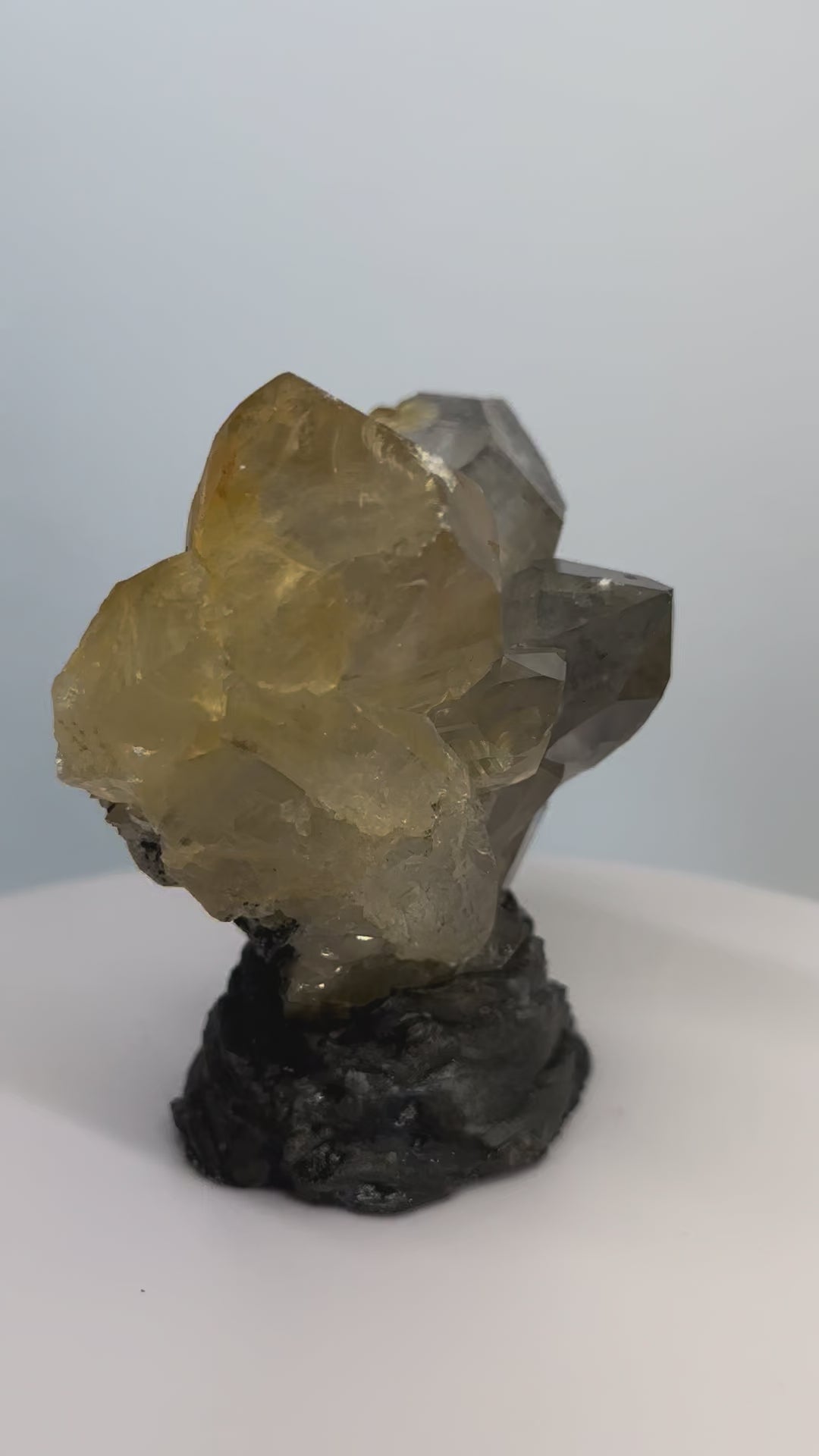 黃金喜馬拉雅水晶｜哈休比｜並行｜底域 DIYU｜C01-020